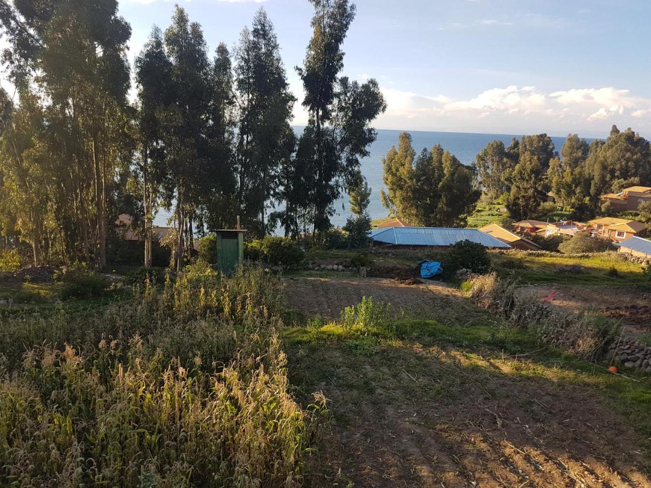 Musqoy Wasi De Gonzalo Villa Ocosuyo Bagian luar foto